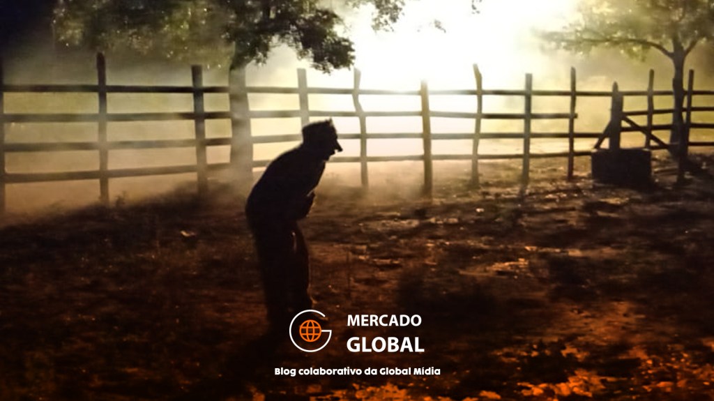 Festival Curta Canoa celebra 14ª edição em novo espaço cultural de&nbsp;Aracati/CE